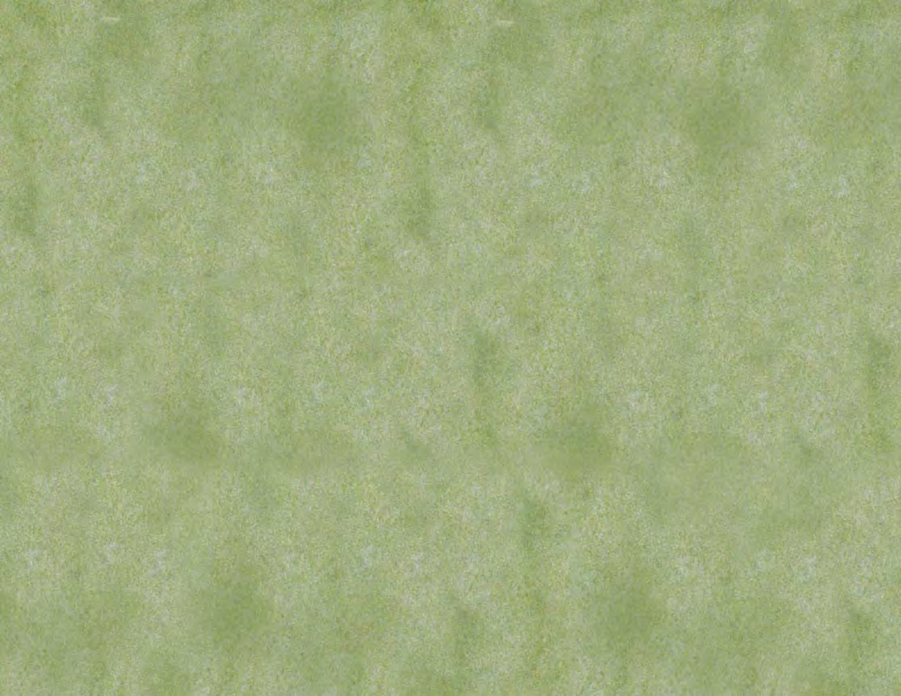 Listing banner image