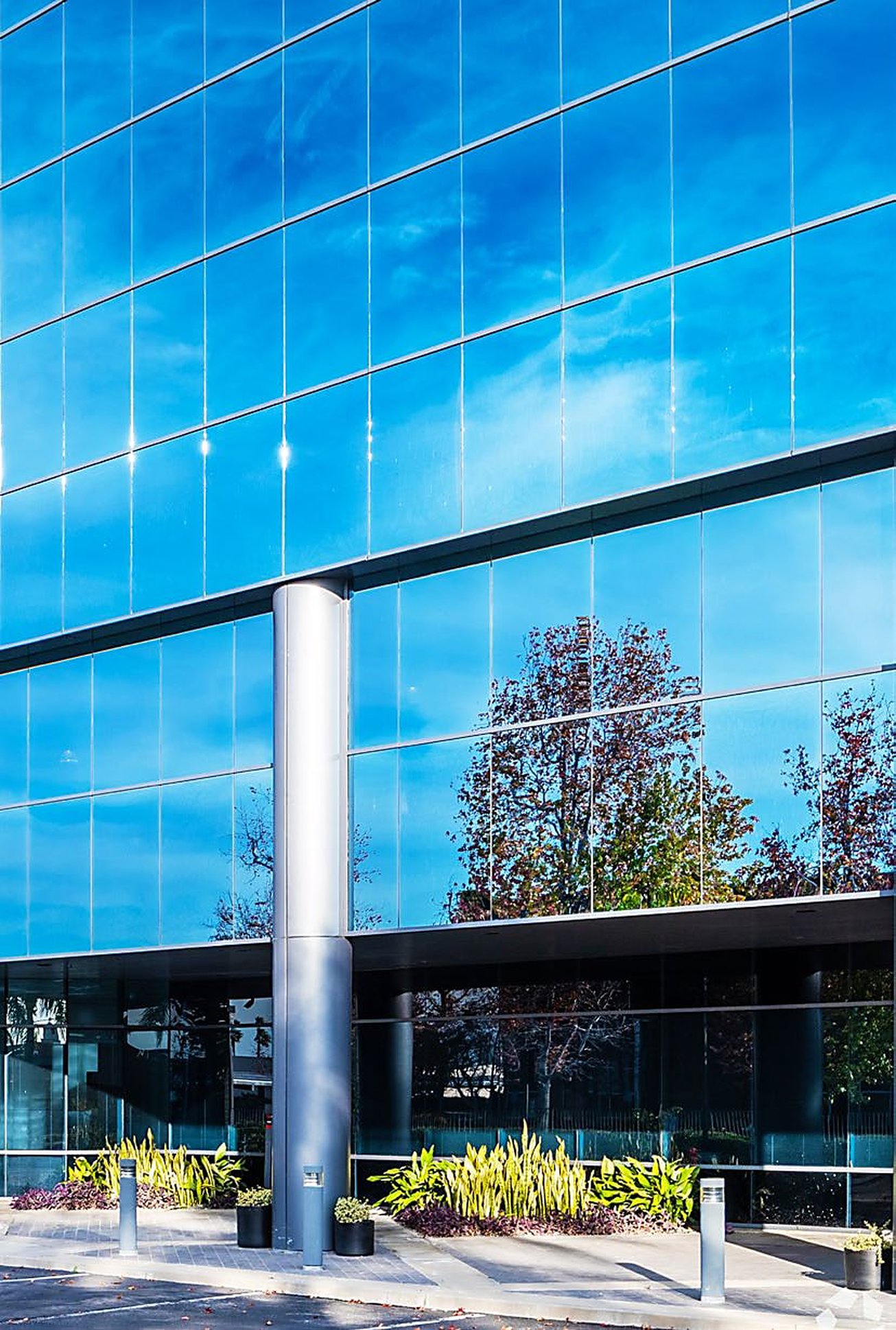 Listing banner image
